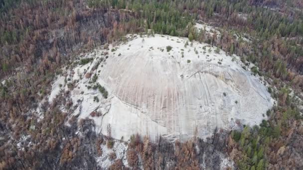 Kupolsten Giant Sequoia National Monument 400 Hög 800 Bred Granit — Stockvideo