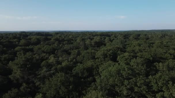 Floresta Brocliande Breton França Aeronáutica Sideways Sky Para Espaço Cópia — Vídeo de Stock