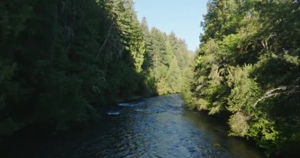 Güney Washington Daki Temiz Nehir Insansız Hava Aracı — Stok video