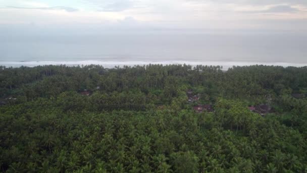 Flygfoto Över Grön Djungel Tropisk Skog Med Fantastisk Havsutsikt Bali — Stockvideo