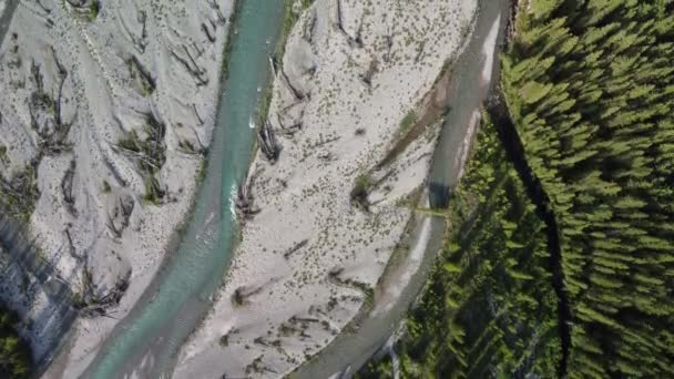 山川の水の流れと上からの緑の森 — ストック動画