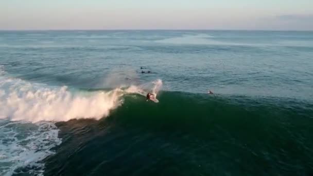 Vista Aérea Surfista Profesional Que Captura Las Olas Del Océano — Vídeos de Stock