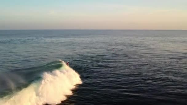Drone Volare Sopra Surfista Cattura Onde Bali Isola Indonesia Destinazione — Video Stock