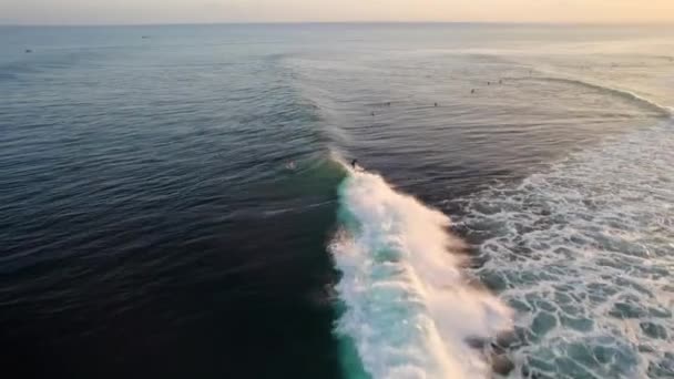 Drone Volare Sopra Gruppo Surfisti Cattura Grandi Onde Spiaggia Uluwatu — Video Stock
