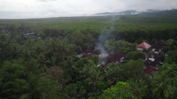 遠く離れた緑のヤシの木のジャングルバリのインドネシアの小さなバリの伝統的な村 — ストック動画