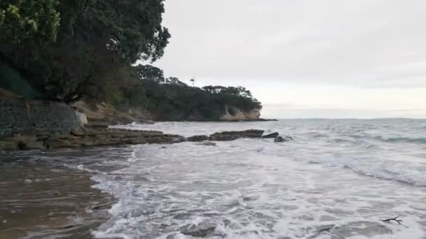 Lågt Flyg Längs Den Lummiga Och Steniga Stranden Vid Aucklands — Stockvideo