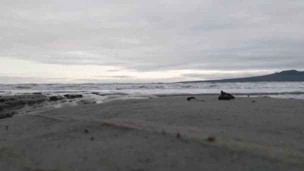 ニュージーランドの北の島に暗い砂のビーチに近づく小さな波の地上レベルの眺め — ストック動画