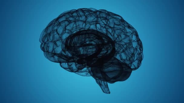 Bezešvé Smyčka Wireframe Mozek Model Modrém Pozadí — Stock video