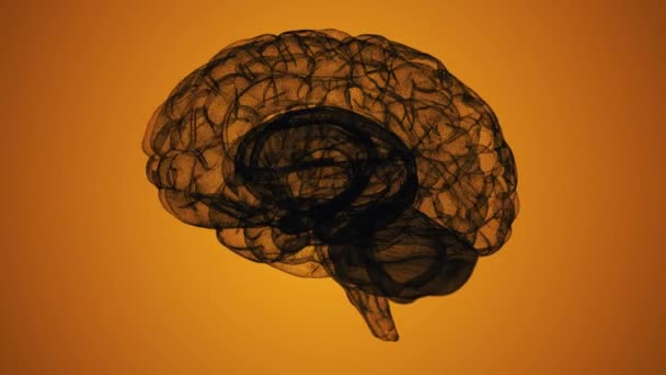 オレンジを背景にしたワイヤーフレーム3D脳モデルのシームレスなループ — ストック動画