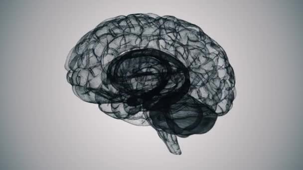 Naadloze Lus Van Een Wireframe Brain Model Witte Achtergrond — Stockvideo
