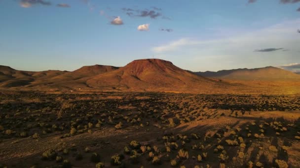 Luftaufnahme Drohne Fliegt Bei Sonnenuntergang Einer Wüste Entgegen Pinsel Und — Stockvideo