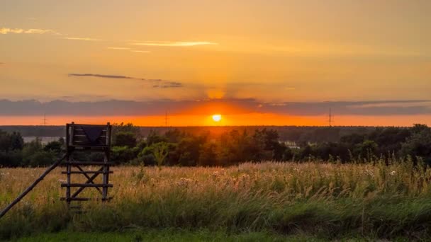 Час Лазер Поля Окунь Заходом Сонця Фоні — стокове відео