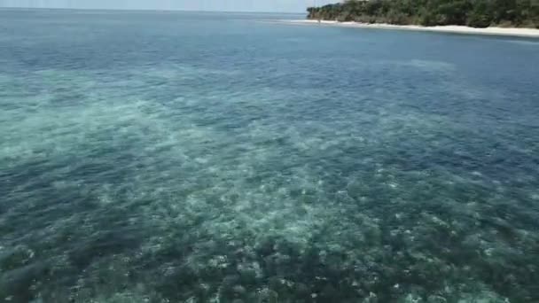 Hava Aracı Sola Hareket Ediyor Berrak Mavi Resiflerinin Yakınındaki Tropikal — Stok video