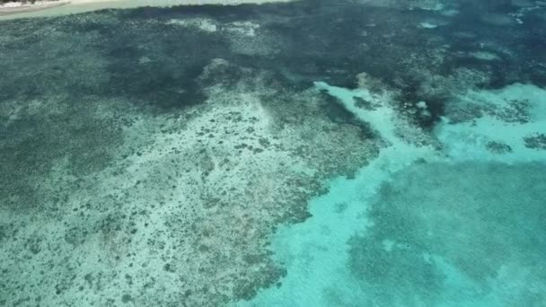 Drone Aerial Blue Water Water Reefs Pan Tropical Forest Island — Stock Video