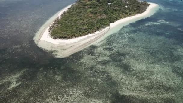 Antena Drona Zielonej Tropikalnej Wyspy Przy Przejrzystej Niebieskiej Rafie Wodnej — Wideo stockowe