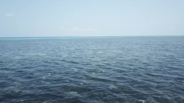 Güneşli Bir Günde Büyük Bariyer Resifinde Tropikal Mavi Suya Yakın — Stok video