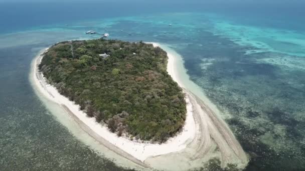 Mavi Bir Resif Ağaçların Etrafındaki Küçük Tropikal Orman Adasının Üzerindeki — Stok video