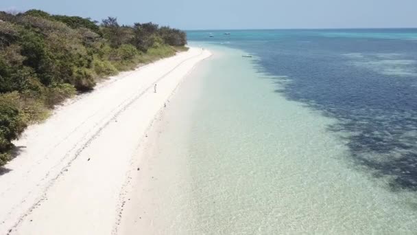 誰かが青い水のそばに立っている白い砂浜の上に空中ドローン — ストック動画