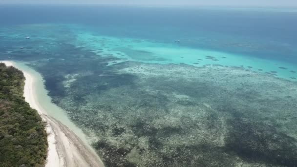 Büyük Bariyer Resifi Tropikal Adada Insansız Hava Araçları Var — Stok video