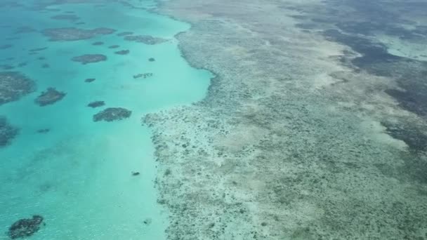 Sartén Aérea Drones Gran Arrecife Barrera Que Tiene Agua Azul — Vídeos de Stock