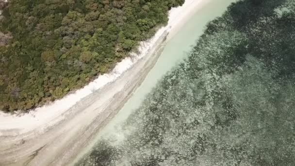 Drone Antenn Panorera Upp Grön Tropisk Med Träd Klarblått Vatten — Stockvideo