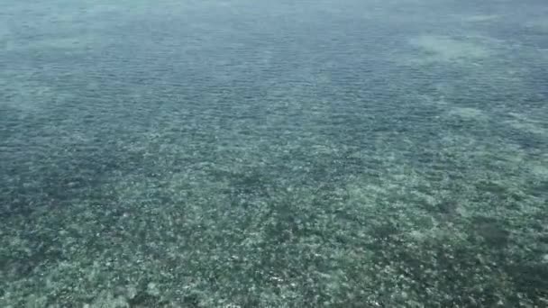 Lotnictwo Dronów Wznosi Się Opada Nad Wielką Rafę Koralową — Wideo stockowe