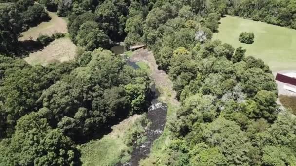 Drone Aerial Waterfall Amongst Nature Pan Reveal Forest — Stock Video
