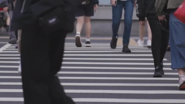スローモーション 台北のダウンタウンを横断する歩行者通路は 地面に足やストライプの低いフレーム — ストック動画