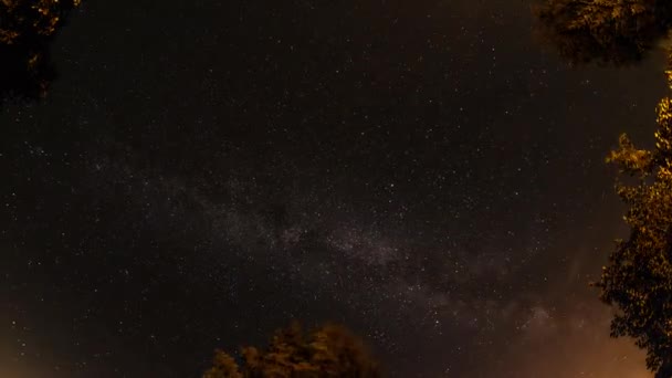 Time Lapse Milky Way Trees — Stock Video