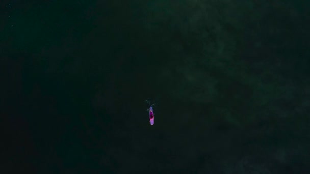 Surfer Molo Oceanside Zielonej Wodzie — Wideo stockowe