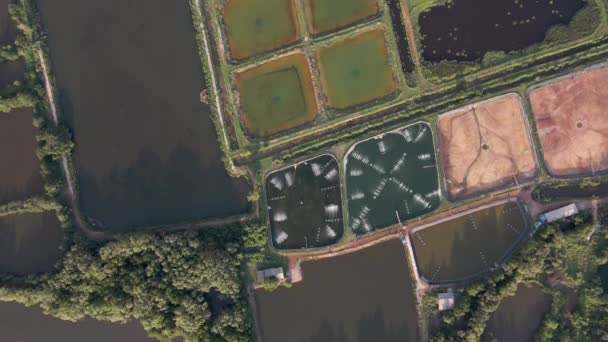 Top Antenne Drone Schot Van Vruchtbare Georganiseerde Landbouwgrond Gericht Rivier — Stockvideo