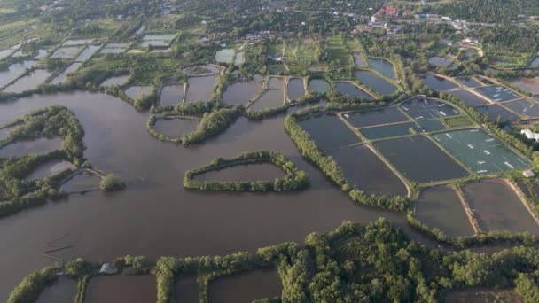Aerial Drone Shot Żyznego Zorganizowanego Pola Rolniczego Koncentrując Się Rzece — Wideo stockowe