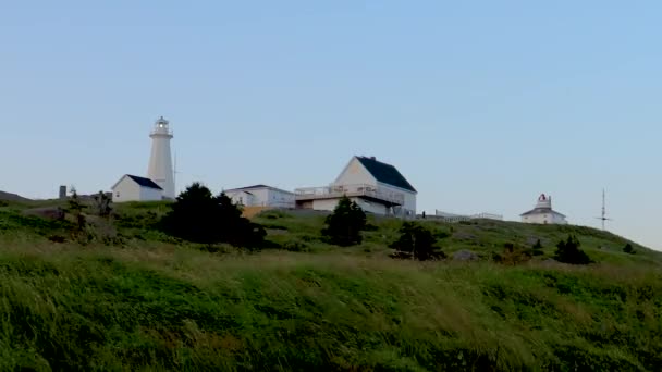 Grasses Gently Sway Morning Breeze Lighthouse — Stock Video