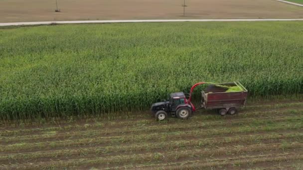 Трактор Машиной Дробления Кукурузы Разбивание Кукурузы Поле Биомассы Вид Воздуха — стоковое видео