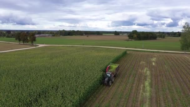 Produção Biomassa Com Trator Usando Colheitadeira Forragem Cortando Milho Silagem — Vídeo de Stock