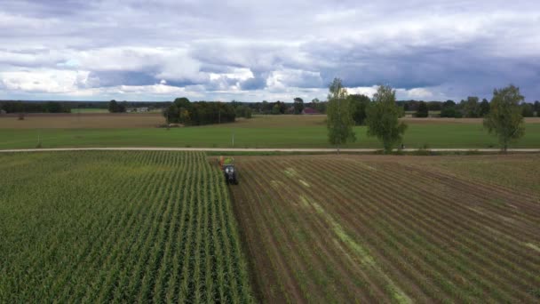 Krajowy Styl Życia Zbieranie Pól Kukurydzy Kiszonkę Biomasy Przechodnie Drogach — Wideo stockowe