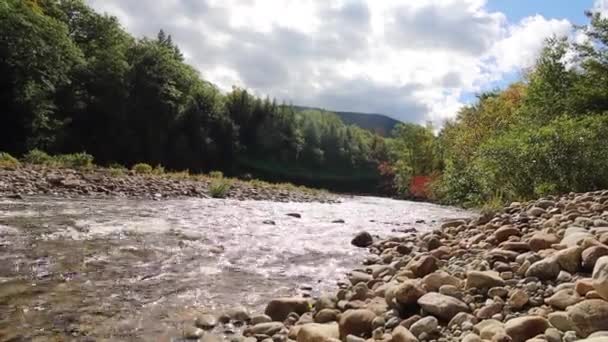 Поток Кристально Чистой Водой Осенью Нью Гэмпшире — стоковое видео