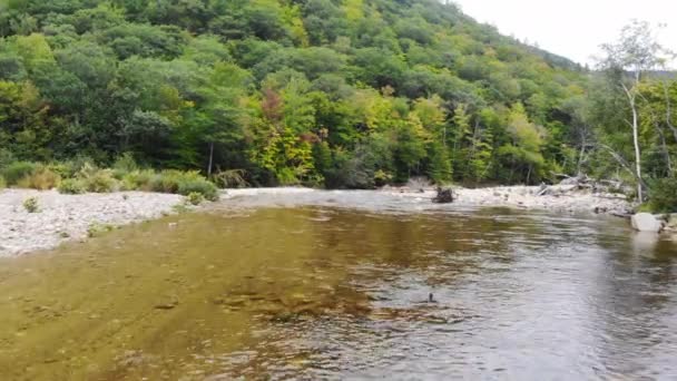 Поток Кристально Чистой Водой Осенью Нью Гэмпшире — стоковое видео