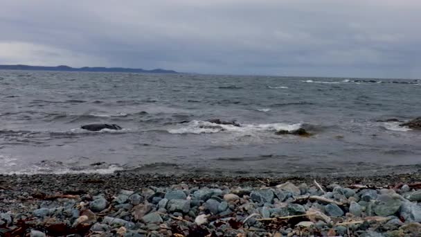 波は岩の多い海岸に静かに衝突し 海は向こうに広がっています — ストック動画