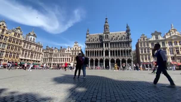 Gente Grand Place Con Museo Ciudad Bruselas Guildhalls Bruselas Bélgica — Vídeo de stock