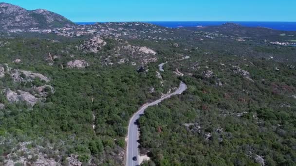 Porto Cervo Uzun Sahil Ormanları Talya Hava Sahası — Stok video