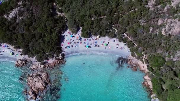 Families Enjoying Crystal Coral Reefs Capriccioli Sardinia Italy — Stock Video