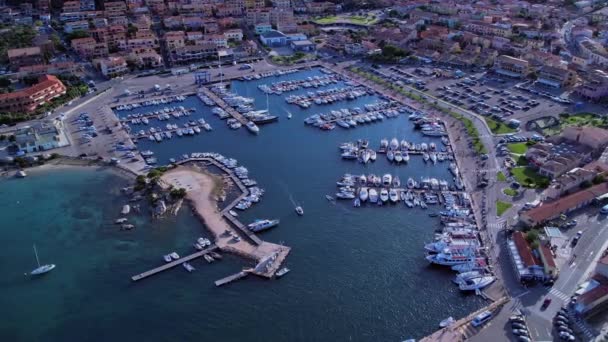 Ocupado Puerto Turístico Palau Cerdeña Italia Puerto Crucero Aéreo — Vídeos de Stock