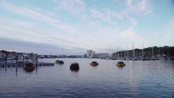 Flensburg Harbor Vista Hafenspitze Colpo Largo — Video Stock