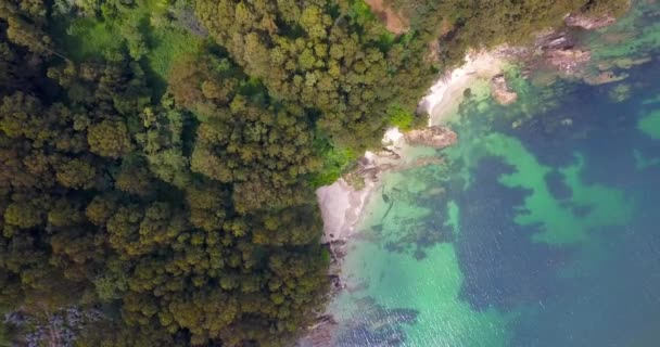 Luftaufnahme Durch Wolken Mit Blick Auf Die Küste Des Tropenwaldes — Stockvideo