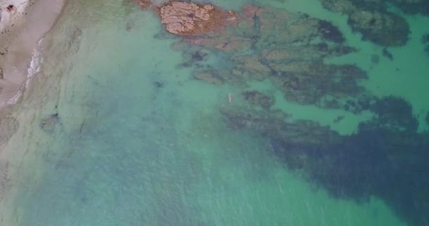 Vue Aérienne Par Drone Une Personne Faisant Plongée Avec Tuba — Video