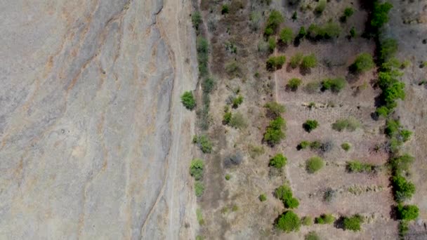 Devastating Barren Landscape Surviving Plants Small Homestead Aerial Top — Stock Video