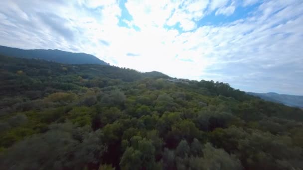Fpv Antenn Flyger Riktigt Snabbt Över Skog Frankrike Mot Stor — Stockvideo