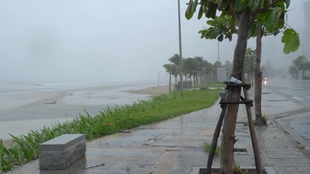 車でビーチや海岸道路で嵐に来る前に豪雨 北杜台風 ダナン市 ベトナム — ストック動画