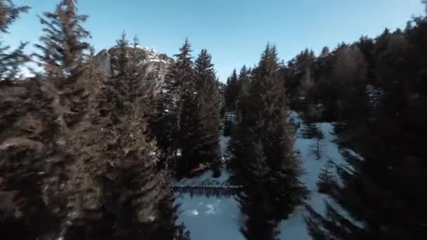 Fpv Drone Flying Tricky Line Snowy Mountain Trees — Stock Video